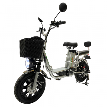 Электровелосипед GreenCamel Транк Монстр PRO (R16FAT 500W 48V15Ah) гидравлика