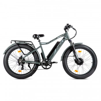 Электровелосипед VOLTECO BigCat Dual Next серый
